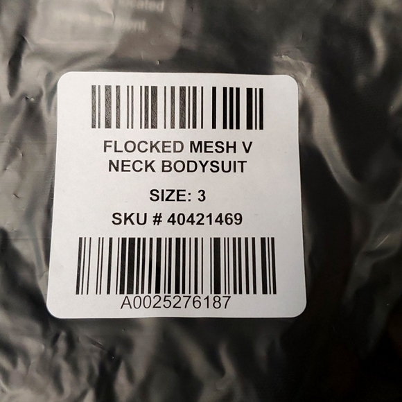 ❤️NWT VINTAGE TORRID BODYSUIT FLORAL ROSES SHEER MESH LINGERIE V NECK PLUS SIZE - Picture 8 of 16